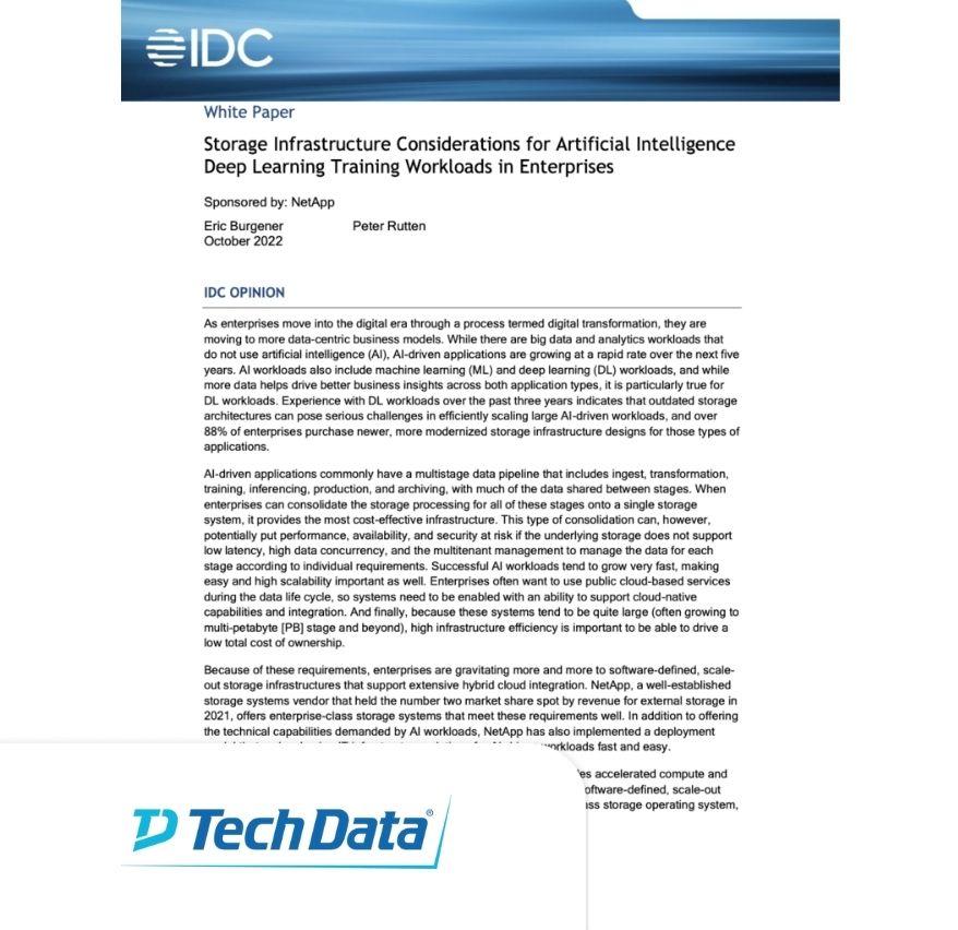 Storage Infrastructure Considerations for Artificial Intelligence Deep Learning Training Workloads